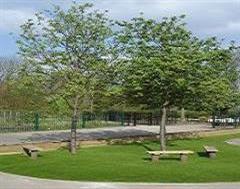 An Open Park Area with Artificial Grass in Wiltshire